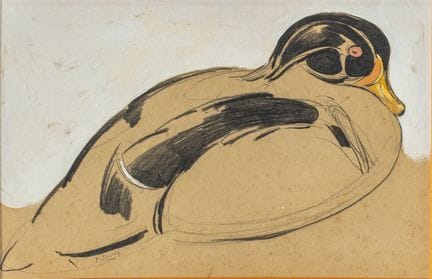 Paul Jouve (1880-1973)
Anatra mandarina
Disegno a 