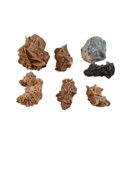 Lot de cinq roses des sables.
Dim°. de la plus gra
