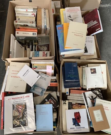 Littérature : Bataille, Crevel, Flaubert, Orsenna,