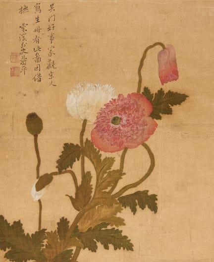 École chinoise, XVIIIe/XIXe siècle

Fleurs

Encre 