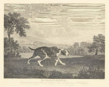William Woollett, after George Stubbs,
British 173