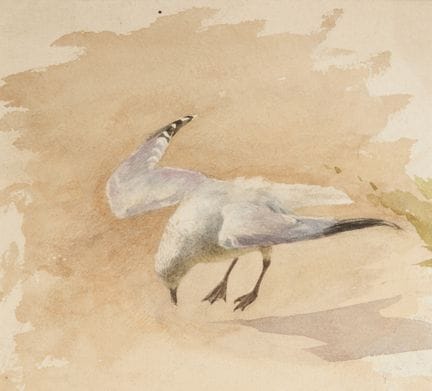 Archibald Thorburn, ARA,
scozzese, 1860-1935-

Un 