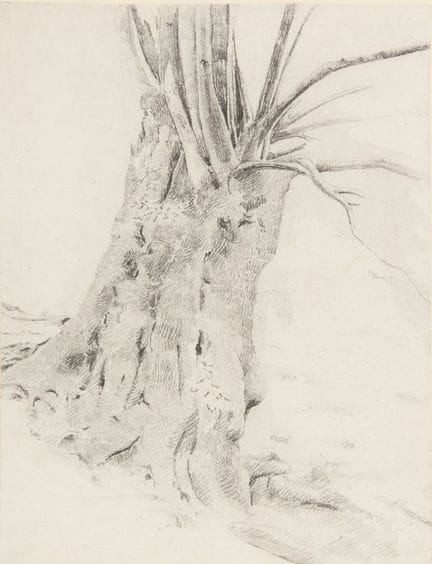 William Evans di Bristol,
britannico, 1809-1858-

