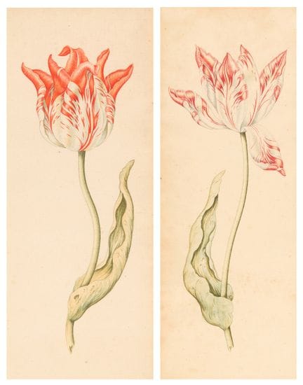 Attributed to Anthony Claesz. the Younger,
Dutch 1
