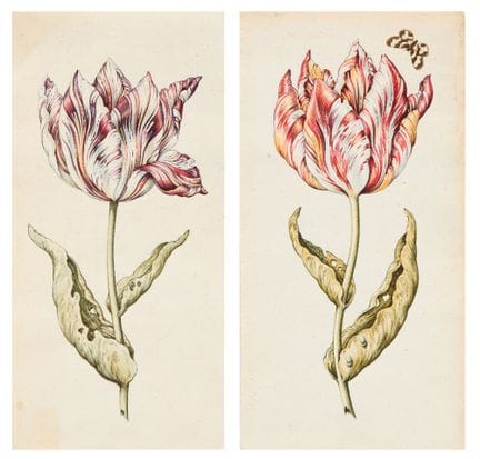 Attributed to Anthony Claesz. the Younger,
Dutch 1