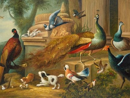 据彼得·卡斯特尔斯三世（Pieter Casteels III）所作，
佛兰德斯画家，1684-17