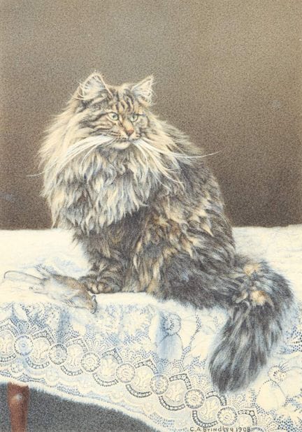 Charles A. Brindley,
artista britannico attivo tra