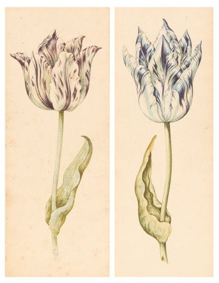 Attributed to Anthony Claesz. the Younger,
Dutch 1