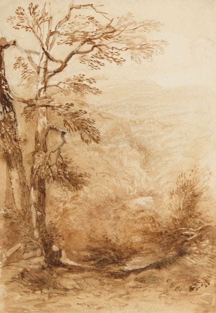 David Cox, OWS,
britannico, 1783-1859-

Una valle 