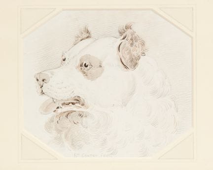 Edwin Cooper,
britannico, 1785-1833-

Studio di un