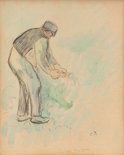 Camille Pissarro (francés, 1830-1903)
«Ceuillir de