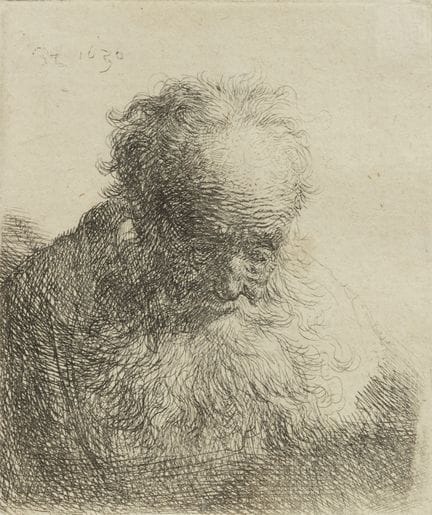 Rembrandt Harmensz. van Rijn (1606-1669)
Buste d'u