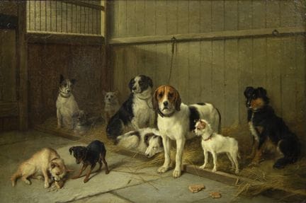 Walter HUNT (1861-1941), óleo sobre lienzo «Perros
