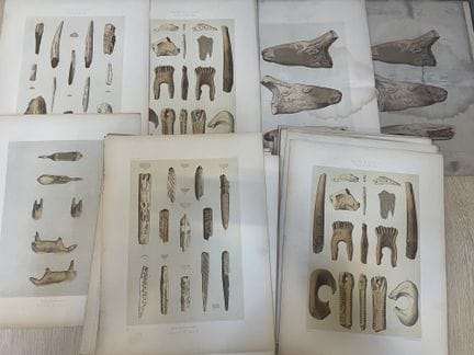 A large collection of late 19th-century plates, mo
