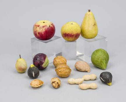 16 frutti e noci decorativi, Italia, seconda metà 