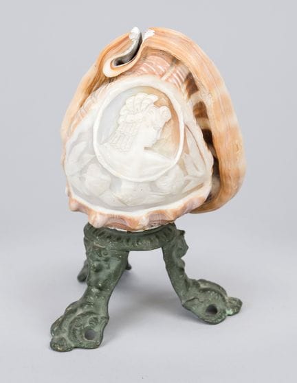 Kunstkammerobjekt bzw. Muschel-Souvenir, 19. Jh., 
