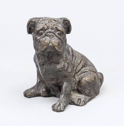 Chiot bouledogue assis, à la peau plissée et aux l