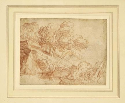 Italienische Schule, 16./17. Jh., Studie einer fel