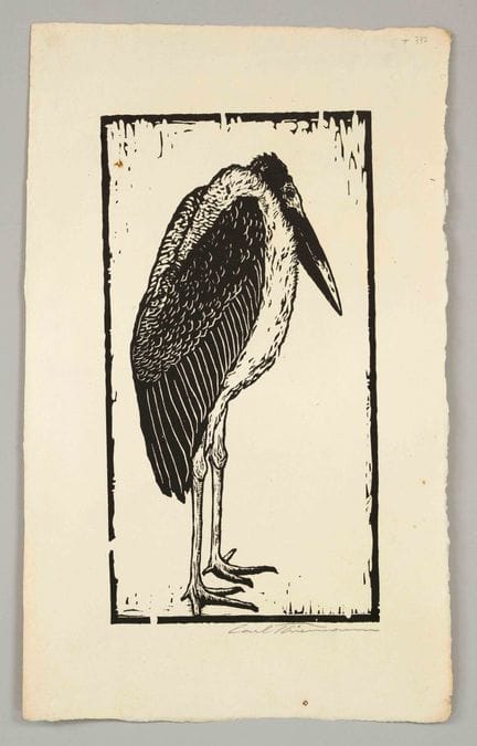Carl Theodor Thiemann (1881-1966), “Marabu”, xilog