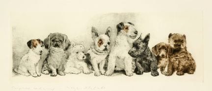 Kurt Meyer-Eberhardt (1895-1977), acht Hundewelpen