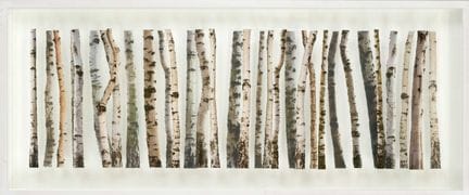 Andreas Lutherer (*1962), fotografo contemporaneo,