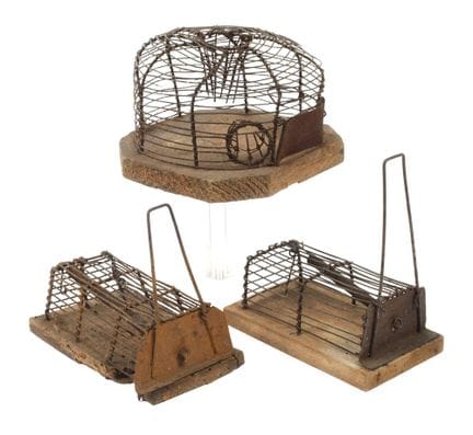 Three historical mousetraps
19th century, wood wit
