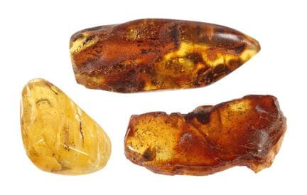 Trois ambres bruts
d'âge indéterminé, deux grands 