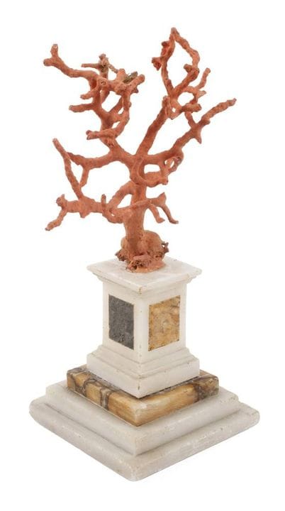 Objet de cabinet d'art
XIXe siècle, branche de cor