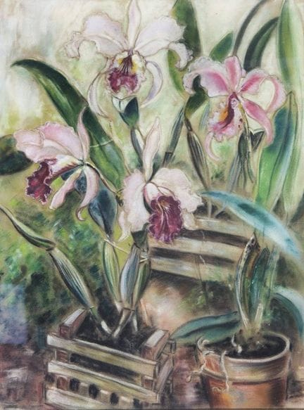 Lohse-Wächtler, Elfriede « Orchidées »

1899 Dresd
