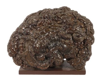 Preserved tree fungus
Qing Dynasty, inscribed on t