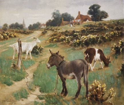 Peintre anglais du XIXe siècle « Ânes et chèvres a