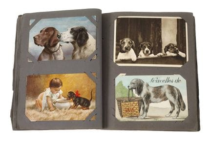 Album de cartes postales « Chiens »
avant 1945, en