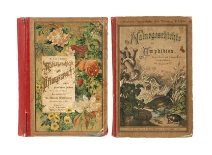Deux volumes de l'« Histoire naturelle » de Schube