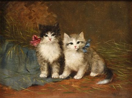 Due gattini nella stalla con fiocchi rosa e blu
du