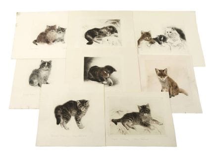 库尔特·迈耶-埃伯哈特，版画合集
七张描绘猫的版画和一张描绘一只坐着的幼狐的版画，彩色蚀刻版画，20