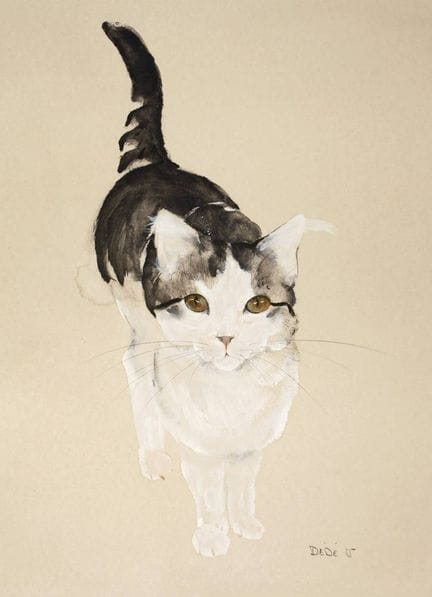 Dédé，《专注》
一只年轻的站立猫，正凝视着对面的对象，这幅动物画以稳健的笔触完成，采用混合技法（