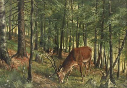 Friedrich Reimann, attribuito, Cervo nel bosco di 