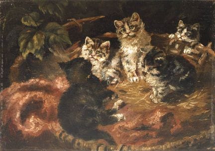 Cinque gattini in un cesto di vimini
in un cesto d