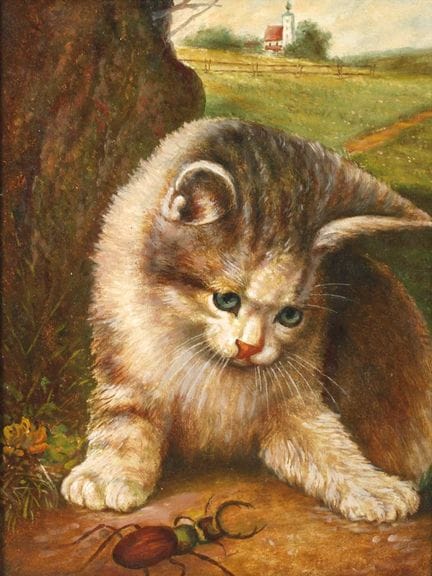Gatto con cervo volante secondo Wilhelm Schwar 
pi