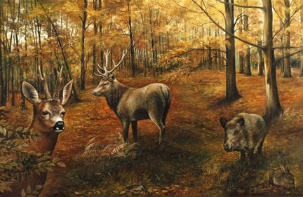 Christiane Vleugels, Bosco autunnale con selvaggin
