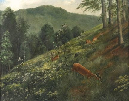 Friedrich Reimann, Caprioli in una radura
Caprioli