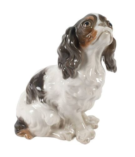 Copenhague, Chavalier King Charles Spaniel
Dessin 