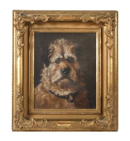 Ritratto di cane
Primo piano di un terrier dal pel