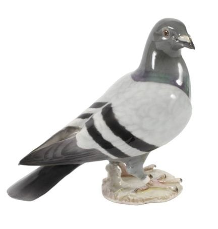 Pigeon voyageur Hutschenreuther
Conception probabl