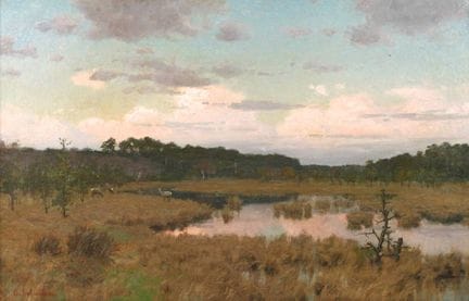 Georg Schmitgen, Paesaggio palustre all’alba
un va