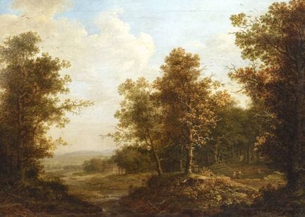 Paisaje forestal con un arroyo
en primer plano, a 