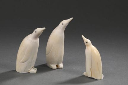 3 dents de cachalot (Physeter macrocephalus) sculp