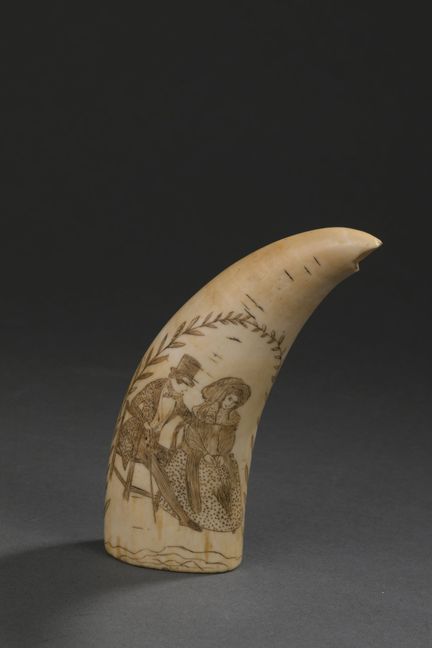 Dent de cachalot (Physeter macrocephalus) gravée e