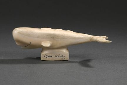 Cachalot en ivoire de morse (Odobenus rosmarus div