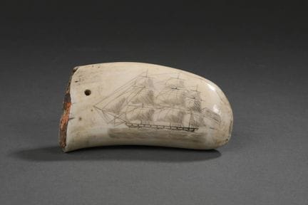 A polished and engraved scrimshaw piece made from 